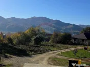 Casă / Vilă cu 5 camere de vânzare 