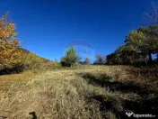 Casă / Vilă cu 5 camere de vânzare 