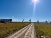 Teren intravilan, PUZ aprobat, 800 mp, Fish4Life - Harman... 