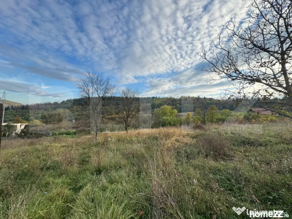 Teren intravilan, 1466mp in comuna Bejan - Bejan (Hunedoara)