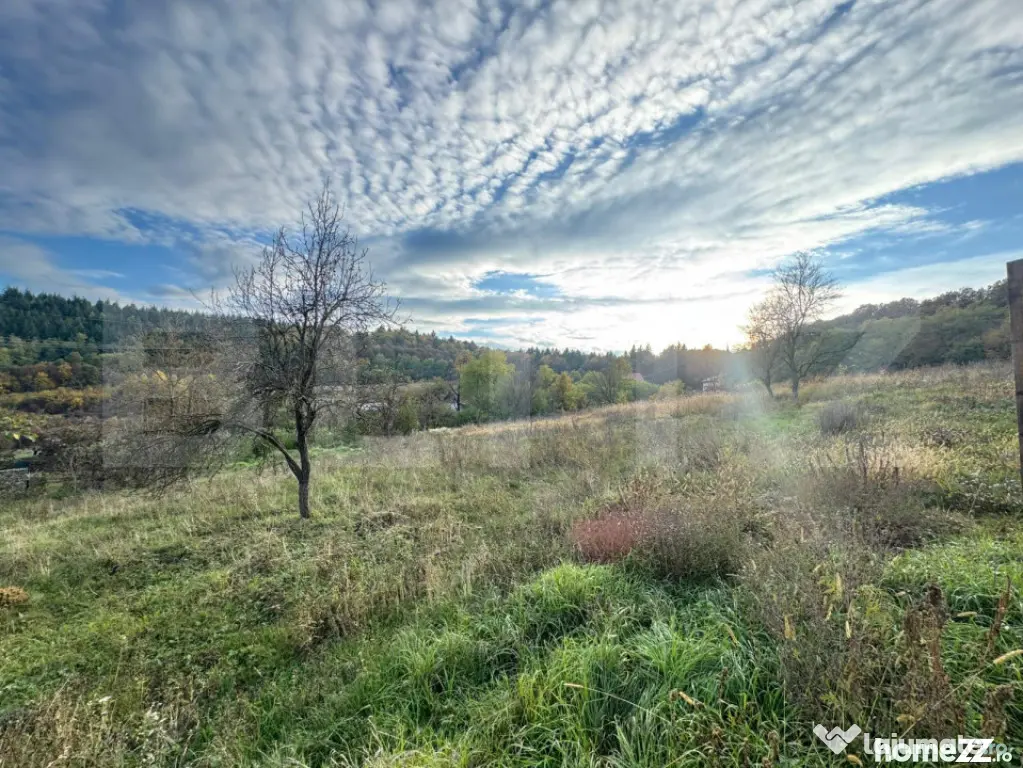 Teren intravilan, 1466mp in comuna Bejan - Bejan (Hunedoara)