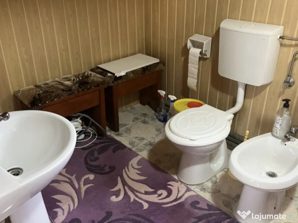 Casă Vladesti Țarina