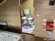 Casă Vladesti Țarina 