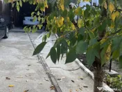 Casă Vladesti Țarina 