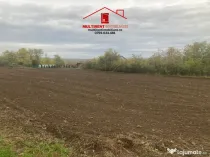 Teren cu casa de vanzare in Randunica (Mihail Kogalniceanu) Tulcea!