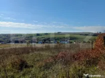 Teren intravilan 2877 mp, in Copaceni