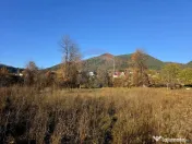 Teren 6,874mp Alexandru cel Bun / Strada plopusor 