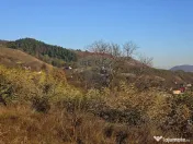 Teren 6,874mp Alexandru cel Bun / Strada plopusor 