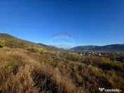 Teren 6,874mp Alexandru cel Bun / Strada plopusor 