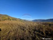 Teren 6,874mp Alexandru cel Bun / Strada plopusor 