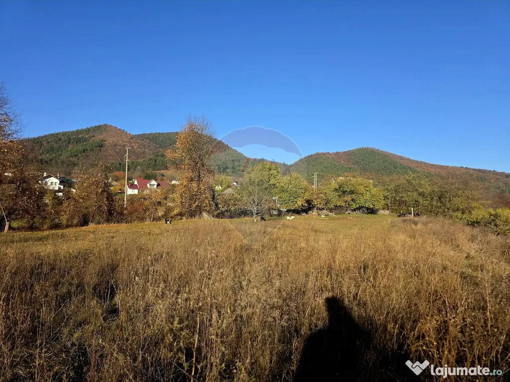 Teren 6,874mp Alexandru cel Bun / Strada plopusor