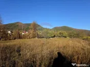 Teren 6,874mp Alexandru cel Bun / Strada plopusor 