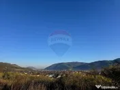 Teren 6,874mp Alexandru cel Bun / Strada plopusor 