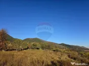 Teren 6,874mp Alexandru cel Bun / Strada plopusor 