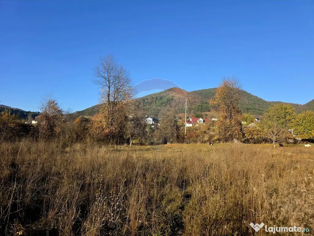 Teren 6,874mp Alexandru cel Bun / Strada plopusor