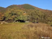 Teren 6,874mp Alexandru cel Bun / Strada plopusor 