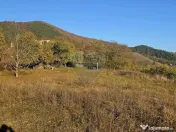 Teren 6,874mp Alexandru cel Bun / Strada plopusor 