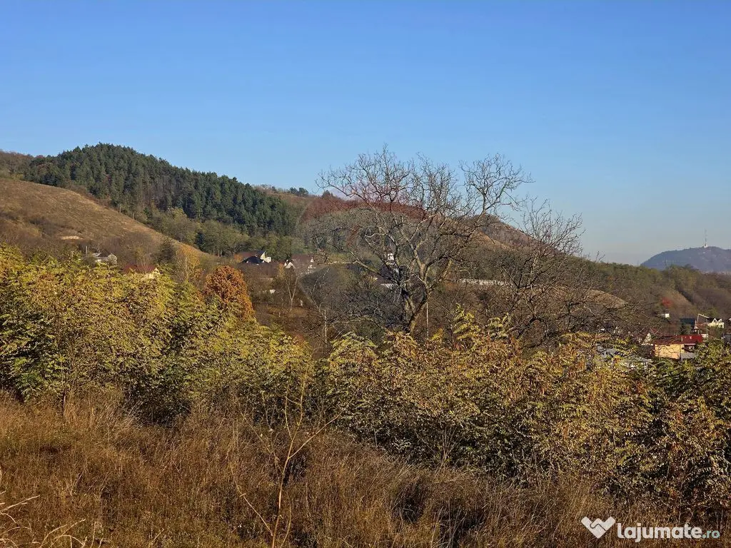 Teren 6,874mp Alexandru cel Bun / Strada plopusor