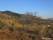 Teren 6,874mp Alexandru cel Bun / Strada plopusor 