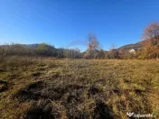 Teren 6,874mp Alexandru cel Bun / Strada plopusor 