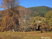 Teren 6,874mp Alexandru cel Bun / Strada plopusor 