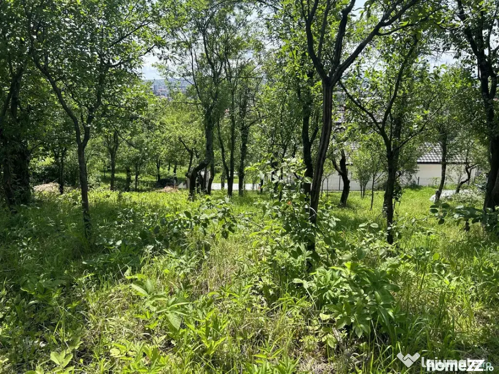 Parcelă de 8,86 ari – zonă Valea Rosie - Baia Mare (Maramures)