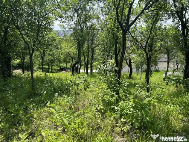 Parcelă de 8,86 ari – zonă Valea Rosie - Baia Mare (Maramures)