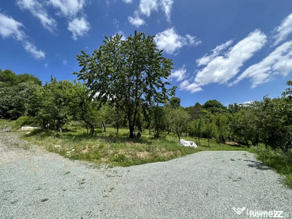 Parcelă de 8,86 ari – zonă Valea Rosie - Baia Mare (Maramures)