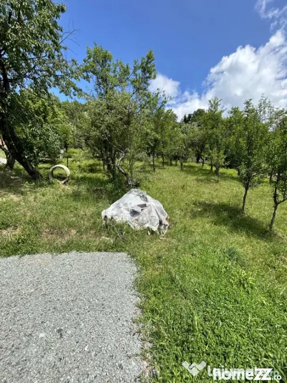 Parcelă de 8,86 ari – zonă Valea Rosie - Baia Mare (Maramures)