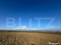 Teren extravilan agricol 5700 mp, Cristur