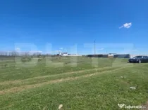 Teren 500 mp, Damila pentru investitie