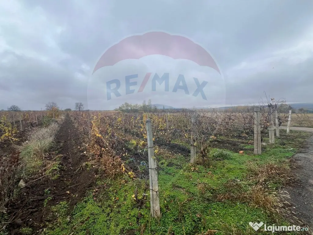 Teren intravilan 2727mp Carligele / Strada Tulceanu