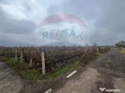 Teren intravilan 2727mp Carligele / Strada Tulceanu 