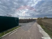 Teren intravilan 2727mp Carligele / Strada Tulceanu