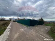 Teren intravilan 2727mp Carligele / Strada Tulceanu 