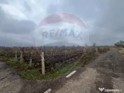 Teren intravilan 2727mp Carligele / Strada Tulceanu 