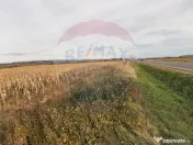 De vânzare teren intravilan, în Săbolciu, cu deschider... 