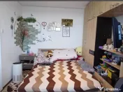 Garsoniera mobilata si luminoasa Astra 