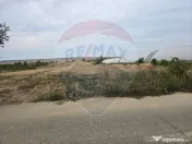 Teren intravilan 5000 mp Isalnita 