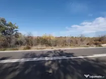 Teren intravilan, 700 mp, zona Cârcea, in spate la Profi