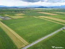 Teren Industrial DN 13 | BV - Feldioara - COMISION 0%