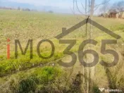 Casa demolabila si teren 3758mp intravilan Rociu Gliganu 