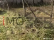 Casa demolabila si teren 3758mp intravilan Rociu Gliganu 