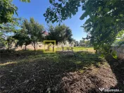 Teren intravilan 1010 mp cu casa batraneasca, magazie, beci, 