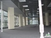 Spatiu de Birouri de 296 mp in Zona Piata Victoriei 