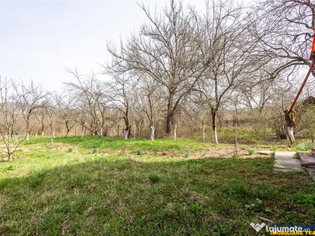 FILM! Casa pe domeniu de 3.117 mp, Viperesti Buzau