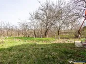 FILM! Casa pe domeniu de 3.117 mp, Viperesti Buzau 