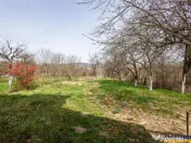 FILM! Casa pe domeniu de 3.117 mp, Viperesti Buzau 