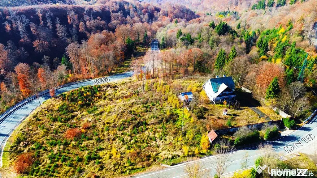 Cabana de vanzare in Maramures+ 29 ari de teren - Baia Sprie (Maramures)