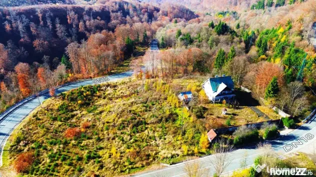 Cabana de vanzare in Maramures+ 29 ari de teren - Baia Sprie (Maramures)